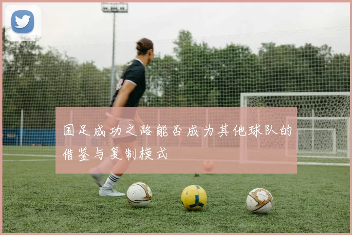 国足成功之路能否成为其他球队的借鉴与复制模式